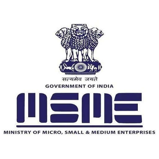 Government Subsidy